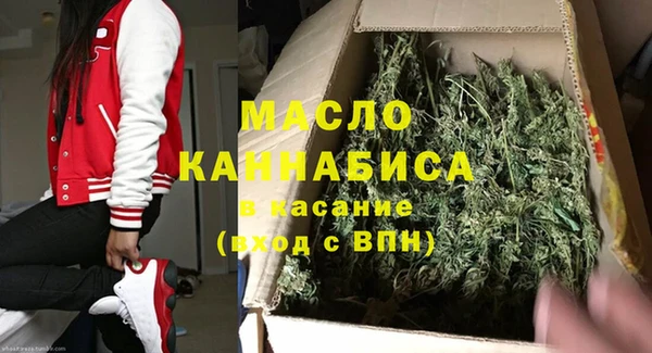 молекула духа Бронницы